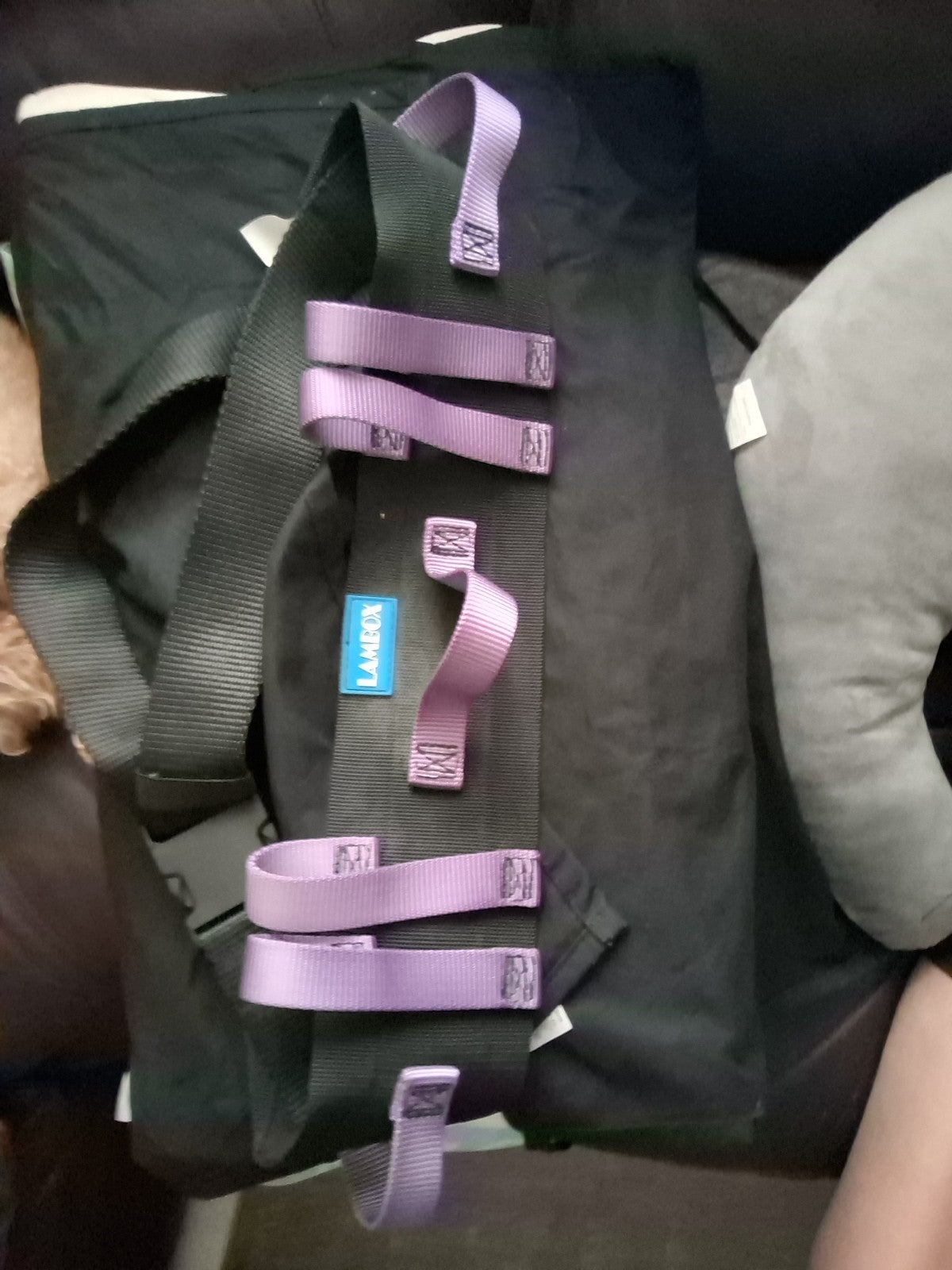 Lambox Patient Belt