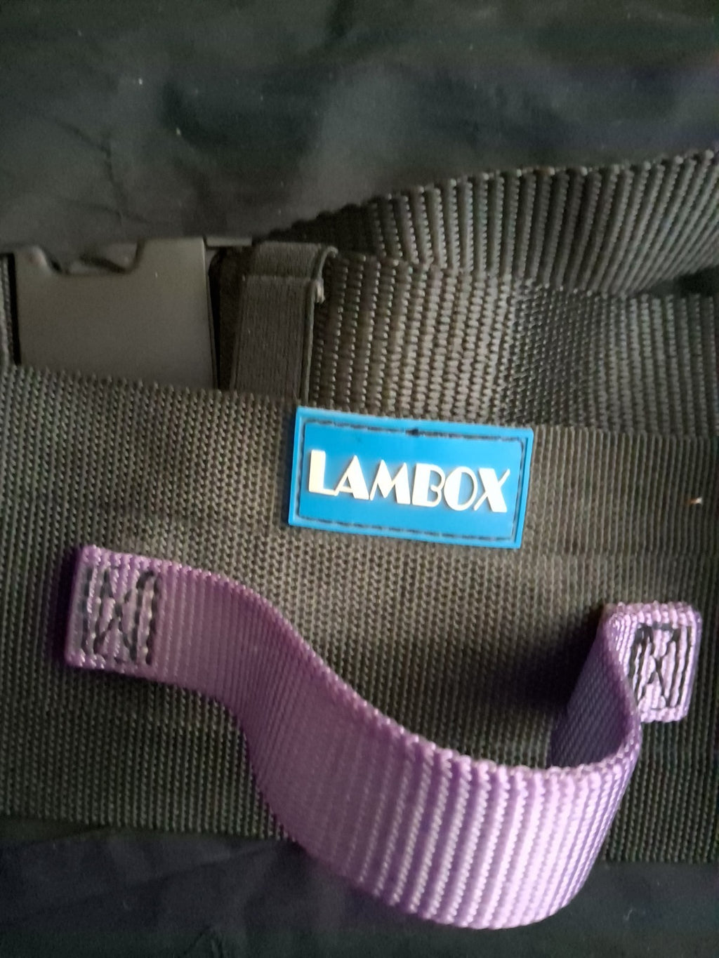 Lambox Patient Belt
