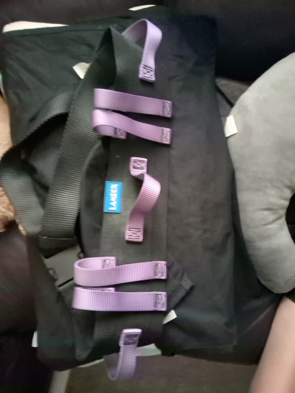 Lambox Patient Belt