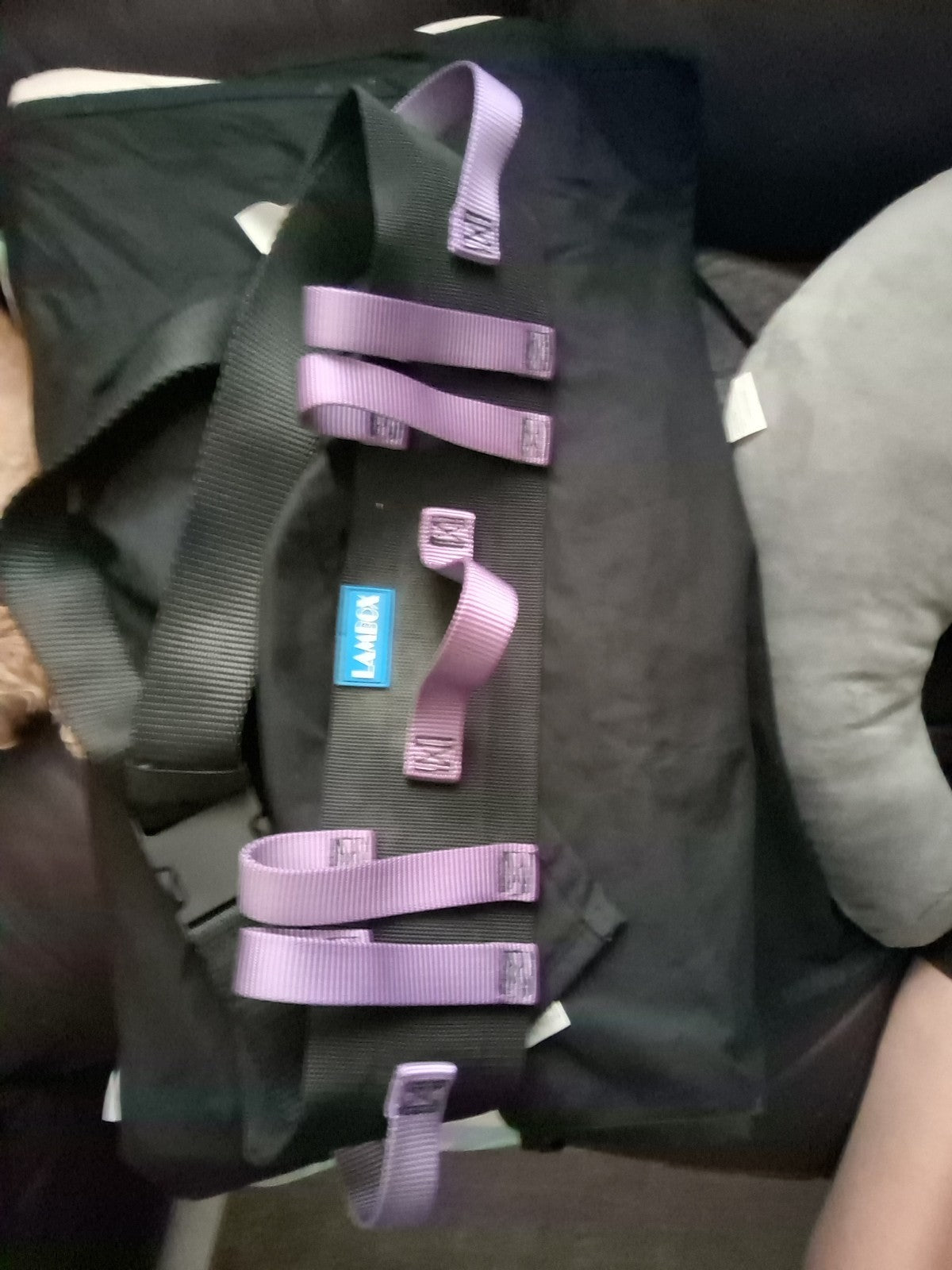 Lambox Patient Belt