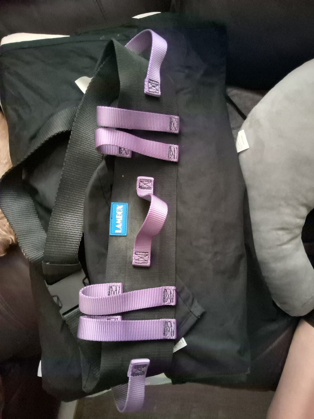 Lambox Patient Belt
